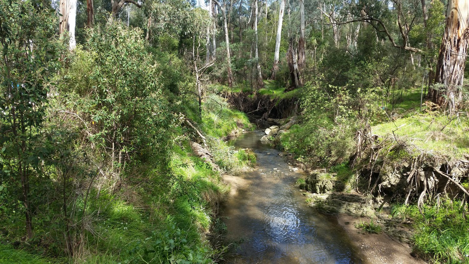 Mullum Mullum Creek