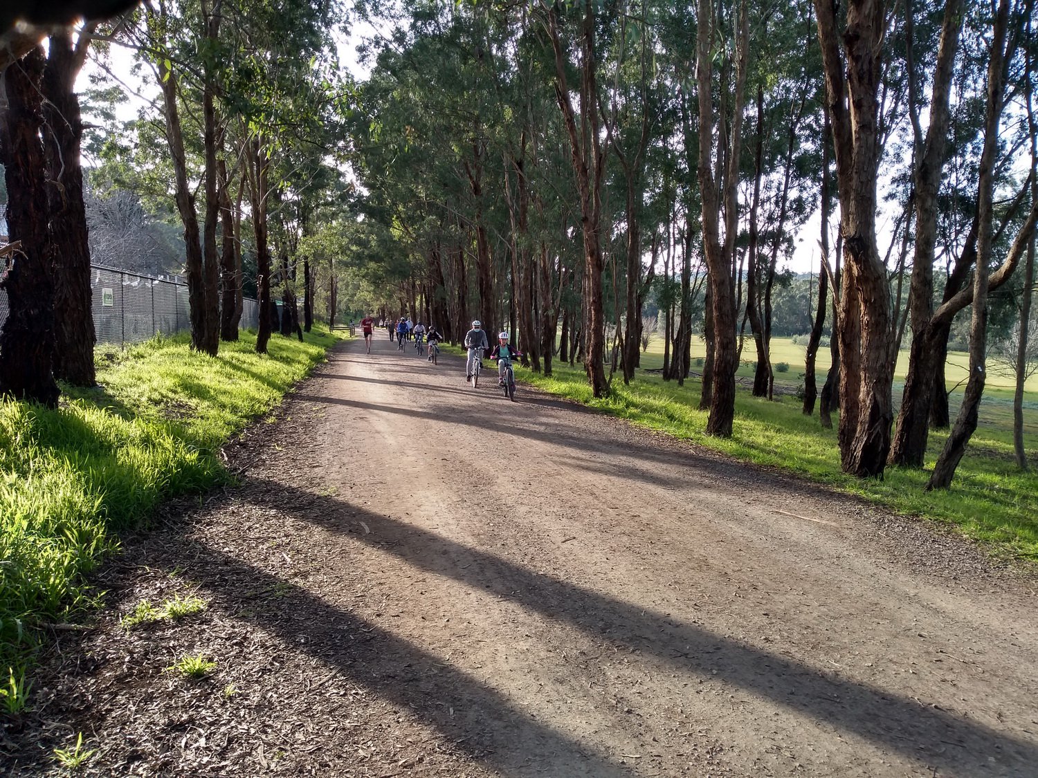 Busy Target Road on the Yarra Trail.
