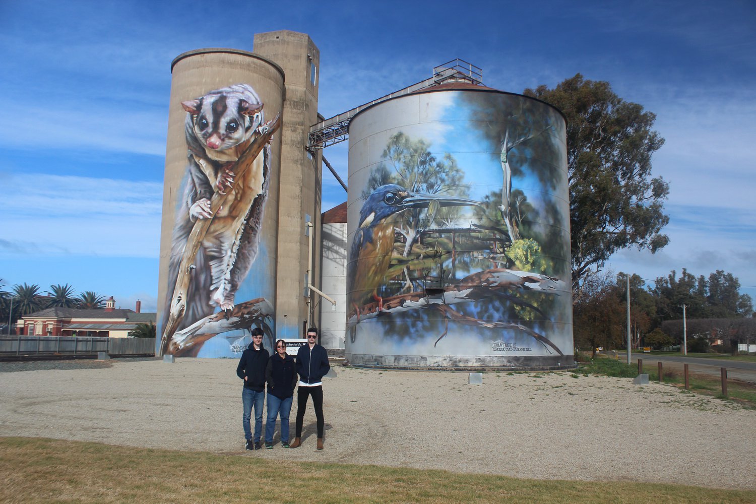 Painted silos at Rochester. North West Victoria Tour, July 2020.