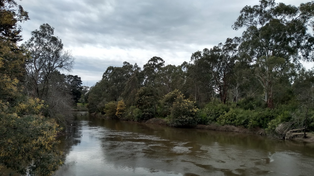 Yarra River from the lookout. Lower Eltham Park-Lavender Park walk, August 2021.