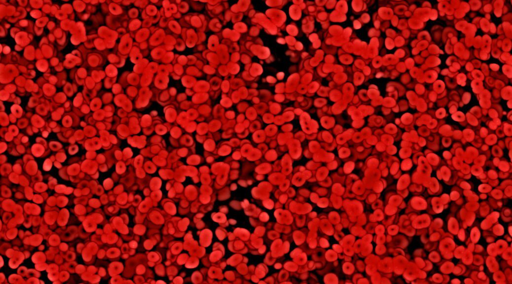 Red Blood Cells. Lots of red blood cells. Couldn't get the shape quite as I wanted it to be, but I think this makes a fair illustration anyway.