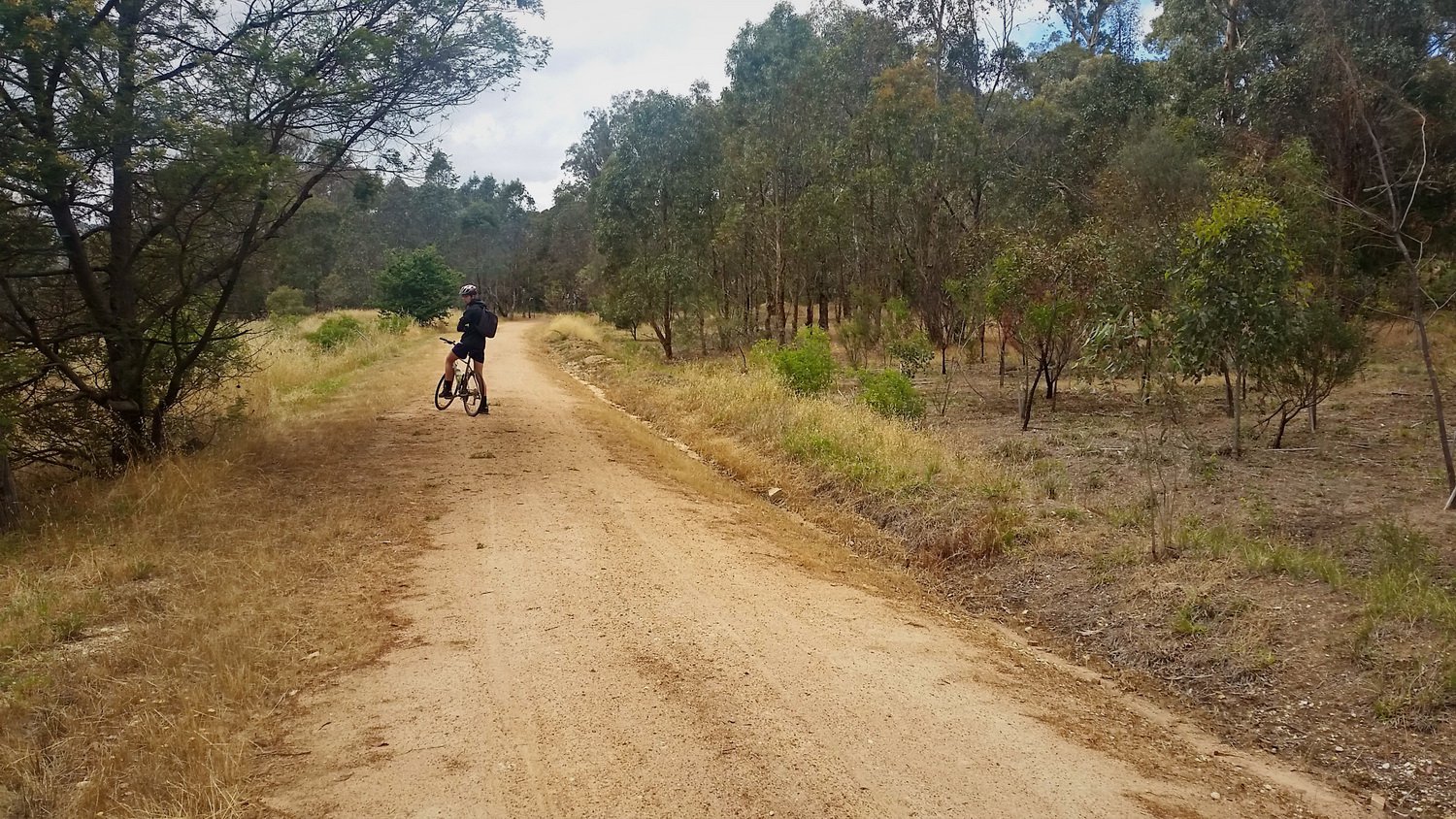 Kyle on the bike track. Tallarook to Yea bike ride, November 2018.