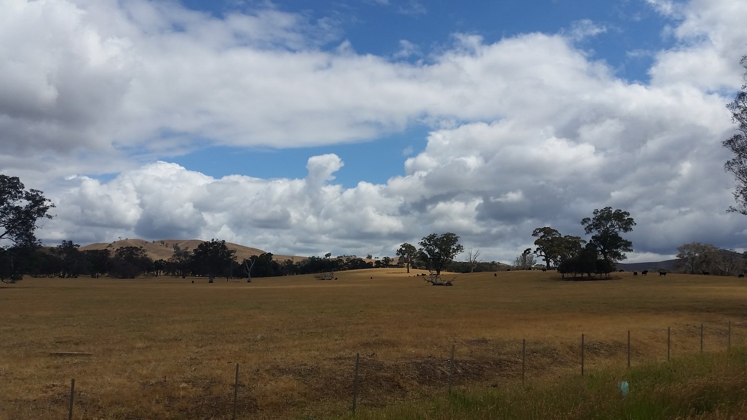 Wide open skys in the country. Tallarook to Yea bike ride, November 2018.