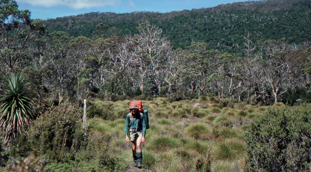 Laurie Glover on the trail, making his way to Windermere Hut. Cradle Mountain to Lake St Clair walk, February 1988.