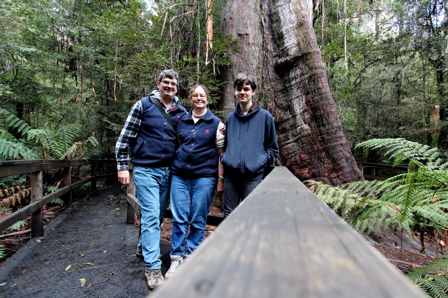 Glenn, Karen and Connor in front of the Ada Tree. Ada Tree walk, Noojee. July 2020.