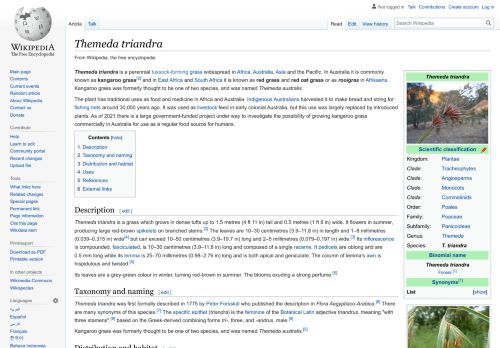 Themeda triandra (Kangaroo Grass) – Wikipedia