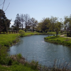 Lake Gardens Estate