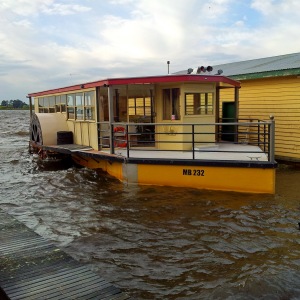 Paddle Cruiser on Lake Wendouree