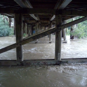 Underneath the bridge carrying Wattletree Road over Diamond Cree