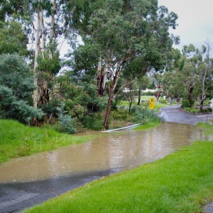 Flooded bike track near Edendale Farm