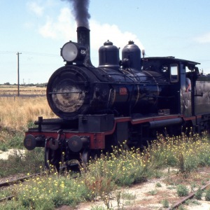 Steam Locomotive at Bellarine Railway.