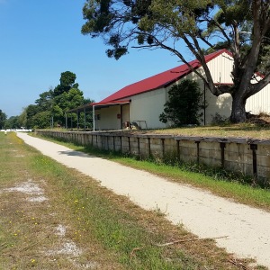 Rail trail scenery