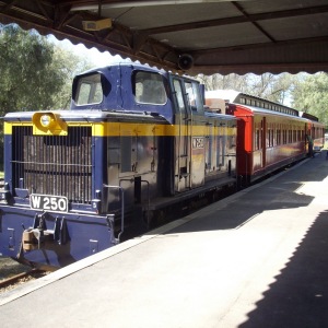 W Class loco getting ready to depart Healesville.