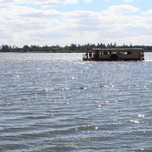 Paddle boat ferry