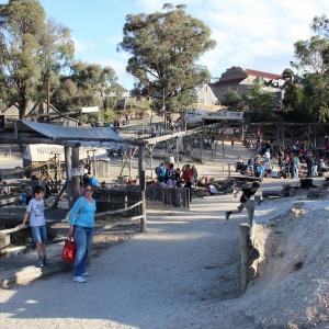 The diggings at Sovereign HIll