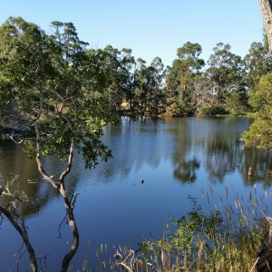 Water bodies along the trail