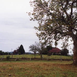 Old farm