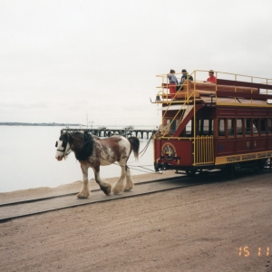 Horse drawn tram