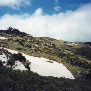 Mount Kosciuszko walk