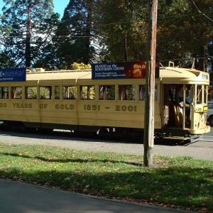 150 Years of Gold Tram
